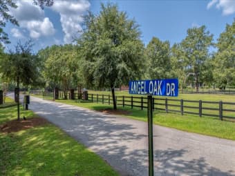  Angel Oak Dr, Bonneau, SC, 29431