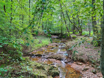 857 Jack Page Drive, Canton, GA, 30115