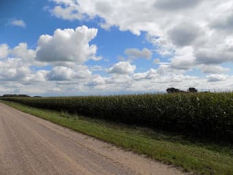 XXX 521st Avenue, Sibley County, MN, 55396