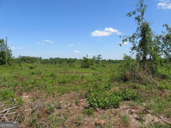 2 Goolsby Road, Ellaville, GA, 31806