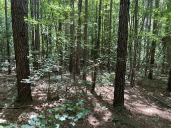 2104 Bennett Road, Creedmoor, NC, 27522