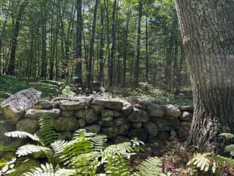 0 Nichewaug Road, Petersham, MA, 01366