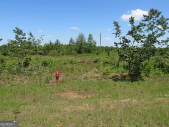 2 Goolsby Road, Ellaville, GA, 31806