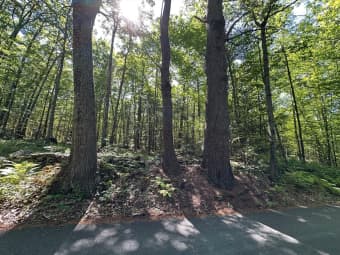 0 Nichewaug Road, Petersham, MA, 01366