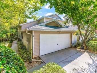 1746 Heron Cove Drive, Land O' Lakes, FL, 33549