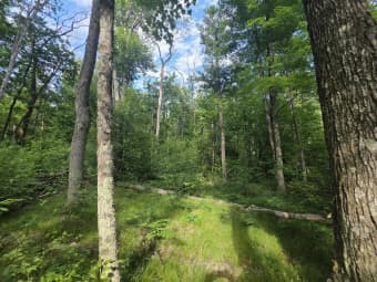  East Michland Path, White Cloud, MI, 49349