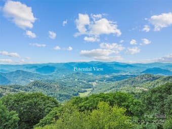 9 Wormy Chestnut Road, Burnsville, NC, 28714