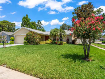 7511 Mayfair Court, Town 'n' Country, FL, 33634
