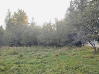 TBD North River Road, Park Falls, WI, 54552