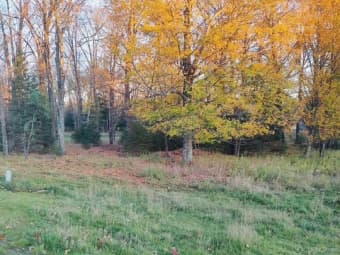 TBD North River Road, Park Falls, WI, 54552