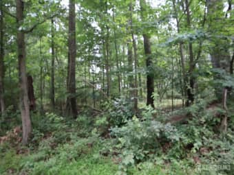 181 Mountain Road, East Amwell Township, NJ, 08551