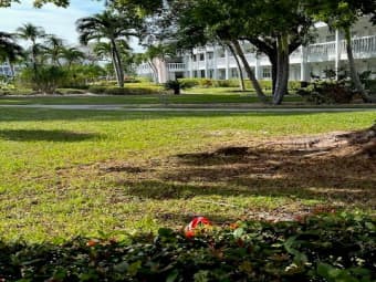 314C/5200 Northeast 24th Terrace, Fort Lauderdale, FL, 33308