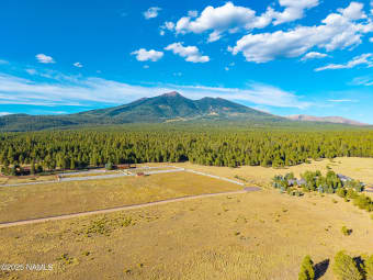 6420 Nags Head Farm Lane, Fort Valley, AZ, 86001