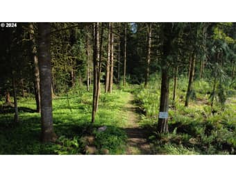 3/ Carlon Loop Road, Longview, WA, 98632