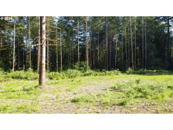 3/ Carlon Loop Road, Longview, WA, 98632