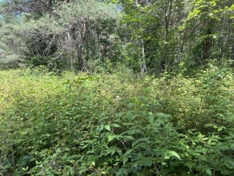 v/l Old Rugged Lane, Reed City, MI, 49677