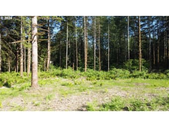 3/ Carlon Loop Road, Longview, WA, 98632