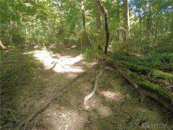 16 Black Hollow Road, Peebles, OH, 45660