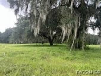 4160 Northeast 127th Place, Anthony, FL, 32617
