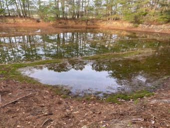  Deer Run Avenue, Andrews, SC, 29510