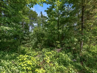 14288 West Poplar Avenue, Bass Lake, WI, 54843