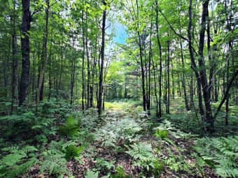 12207 East Railroad Street, Lake Nebagamon, WI, 54849