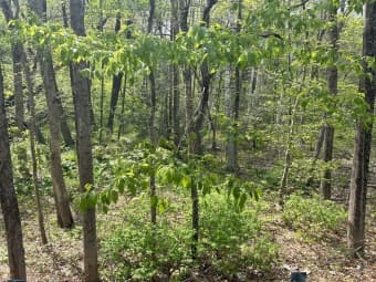 0 Parker Road, South Lancaster, MA, 01523
