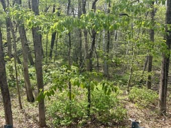 0 Parker Road, South Lancaster, MA, 01523