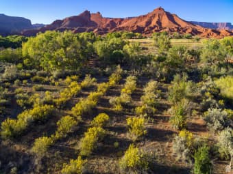 421 Castle Valley Drive, Castle Valley, UT, 84532