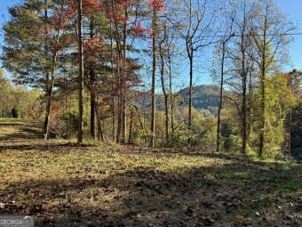  Zoellner Lane, Dillard, GA, 30537