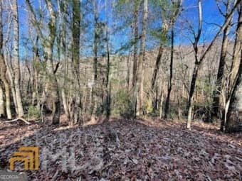 LOT 3/3 Rebel Circle, Sky Valley, GA, 30537