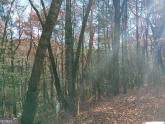 LOT 3/3 Rebel Circle, Sky Valley, GA, 30537