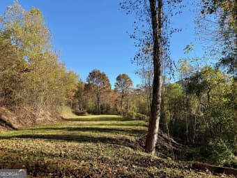  Zoellner Lane, Dillard, GA, 30537