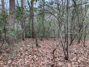 105 Cinnamon Fern Lane, Dawson County, GA, 30534