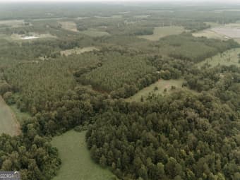 548 GA Highway 195 South, Leslie, GA, 31764