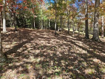 0 Roland Rickman Road, Franklin, NC, 28734