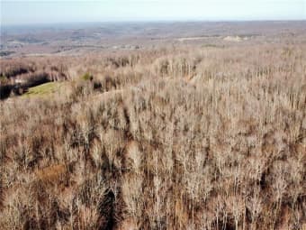  Fox Mountain Rd, Livingston Manor, NY, 12758