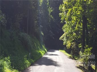 000 Estate Road, Lake Lure, NC, 28746