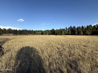LOT 8/213 High Point Dr, Coconino County, AZ, 86038