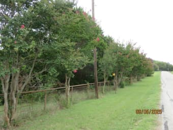 6 Highridge Farms Road, Lowry Crossing, TX, 75069