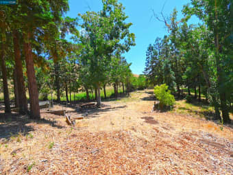 5991/2 Rheem Boulevard, Moraga, CA, 94556