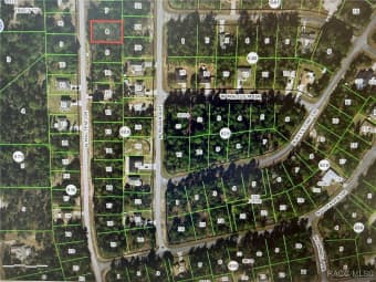 7745 North Maltese Drive, Citrus Springs, FL, 34433