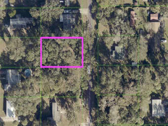  CR-422, Lake Panasoffkee, FL, 33538