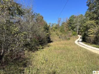  Black Beard Road, Edmonton, KY, 42129