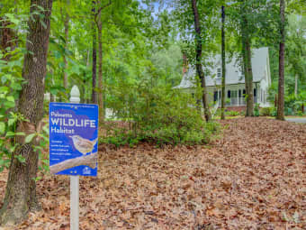 196 Dogwood Ridge Road, Summerville, SC, 29485