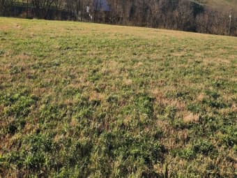 7370 Energy Road, Ewing, KY, 41039