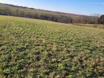 7370 Energy Road, Ewing, KY, 41039