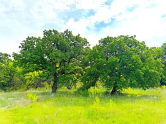 191 Powell Rd, Parker County, TX, 76487