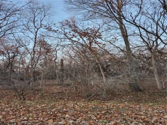 169 Sycamore Drive, Linn Valley, KS, 66040