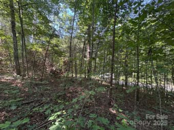 Lot 13 Wild Flower Way, McDowell County, NC, 28752